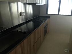 Cityscape @ Farrer Park (D8), Condominium #620662661